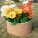 Цветник КАНЬОН купить в Ставрополе