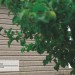 Сайдинг Ю-Пласт TIMBERBLOCK Пихта (Тимберблок) Cахалинская купить в Ставрополе