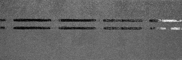 Коньково-карнизная черепица Docke Premium, черника купить в Ставрополе