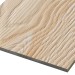 Фиброцементные панели FCSPRO Decor Wood Лиственница купить в Ставрополе
