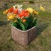 Цветник КАНЬОН купить в Ставрополе